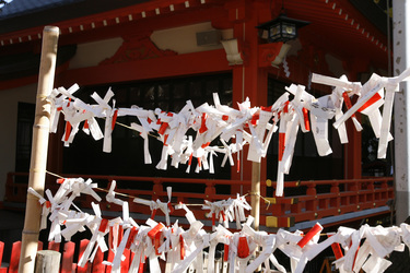 Omikuji am Hanazono-jinja Schrein