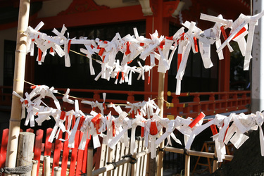 Omikuji am Hanazono-jinja Schrein