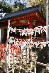 Omikuji am Hanazono-jinja Schrein