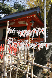Omikuji am Hanazono-jinja Schrein