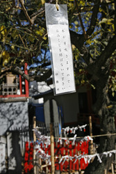 Omikuji am Hanazono-jinja Schrein