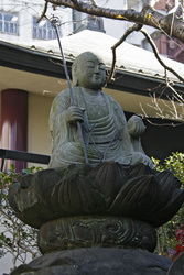 Friedhof am Shojuin Tempel