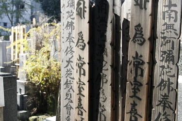 Friedhof am Shojuin Tempel