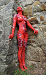 Rosenregen / Rose-rain