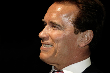 Arnold Schwarzenegger