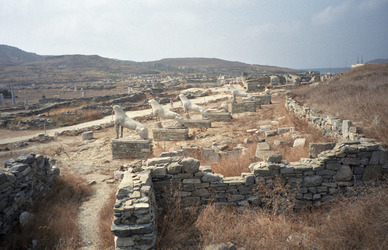 Delos