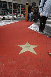 Stern von Marlene Dietrich