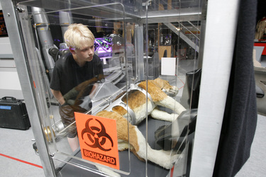 Portos, der Hund von Captain Archer auf der Enterprise