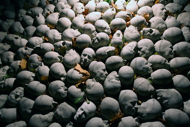 Kopfsteinpflaster von Timm Ulrichs