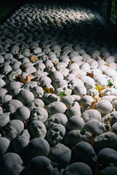 Kopfsteinpflaster von Timm Ulrichs