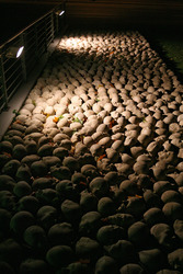 Kopfsteinpflaster von Timm Ulrichs