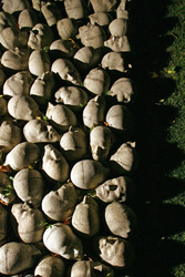 Kopfsteinpflaster von Timm Ulrichs