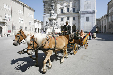 Mariensäule und Fiaker