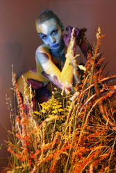 Universum in Rüstung / Armored Universe