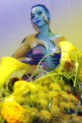 Universum in Rüstung / Armored Universe