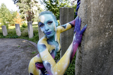 Universum in Rüstung / Armored Universe