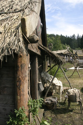 Setbesuch 'Wickie und die starken Männer'