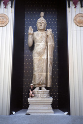 Buddha Statur