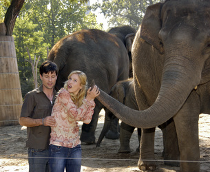 Roman Rossa, Susanne Gärtner