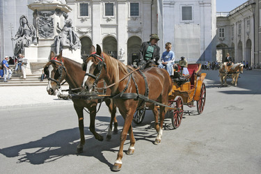 Fiaker vor der Mariensäule