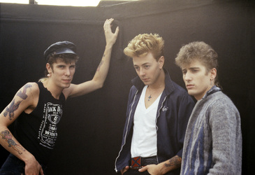 Photocall mit den Stray Cats in London