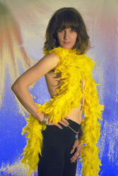Federboa / Feathers