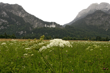 Schloss Neuschwanstein