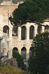 Colosseo / Kolosseum