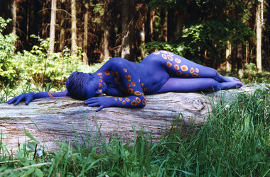 Blaue Waldfee / Blue Fairy
