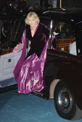 Camilla Mountbatten-Windsor