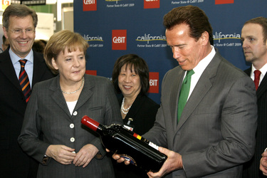 Christian Wulff, Angela Merkel, Arnold Schwarzenegger