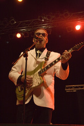 The Shadows feat. Bruce Welch