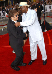 Al Pacino, Bernie Mac