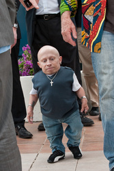 Verne Troyer