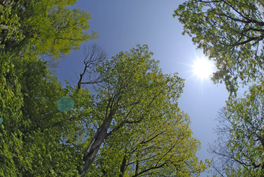 Himmel über dem Kapuzinerberg