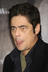 Benicio Del Toro