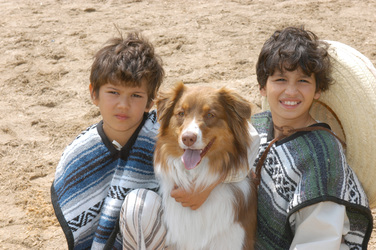 Marvin Böttcher, David Ziemer