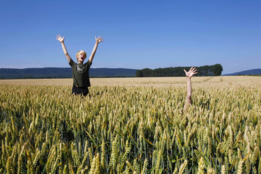 Arme im Getreidefeld