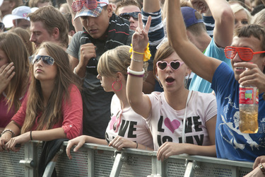 Fans auf der Loveparade 2010