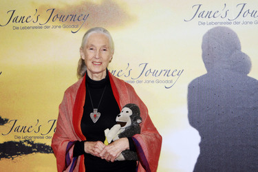 Jane Goodall