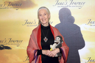 Jane Goodall