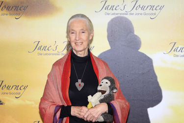 Jane Goodall
