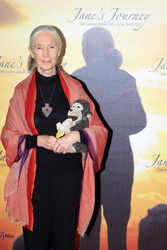 Jane Goodall