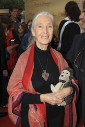Jane Goodall