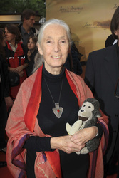 Jane Goodall