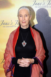 Jane Goodall