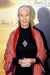 Jane Goodall