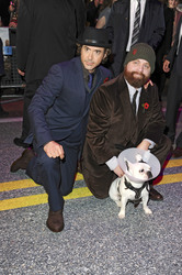 Robert Downey Jr., Zach Galifianakis