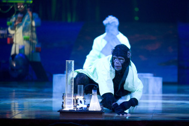 Cirque de Soleil Akrobat
