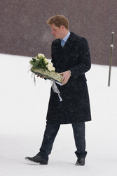 Henry Mountbatten-Windsor / Prinz Harry